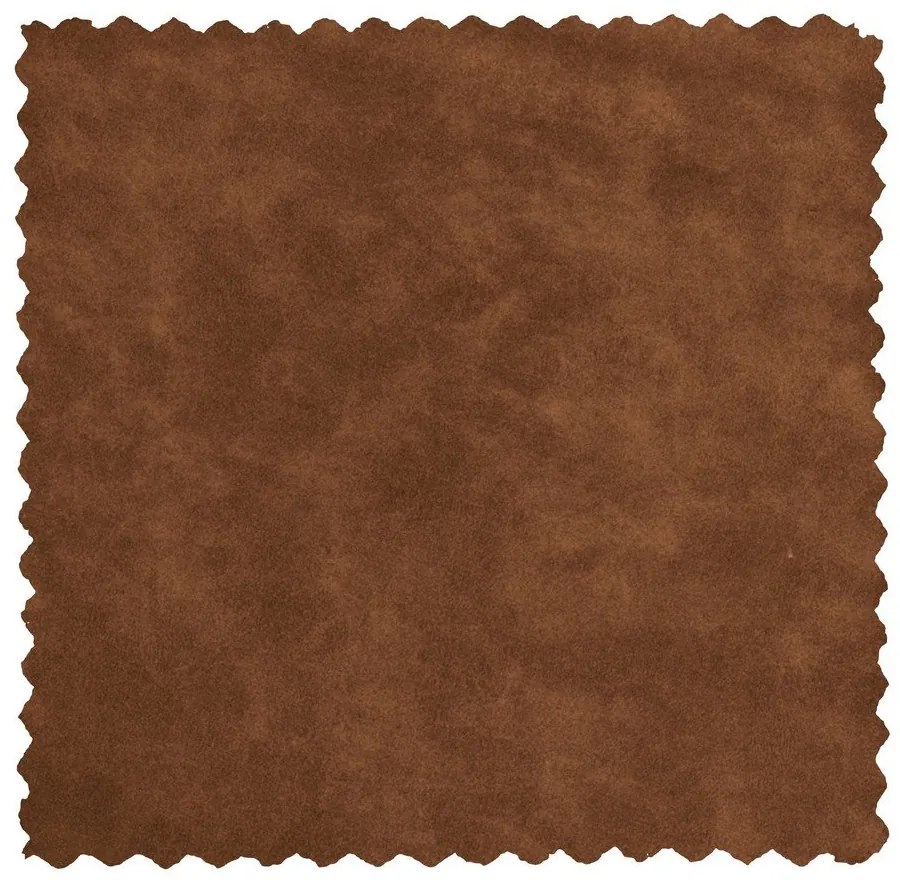 Koňakovohnedé čalúnené jedálenské kreslo s podrúčkami Fenne – WOOOD