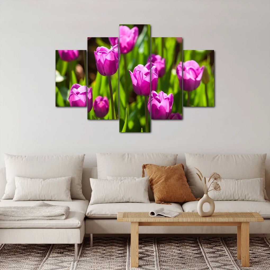 Obraz tulipánov na lúke (150x105 cm)