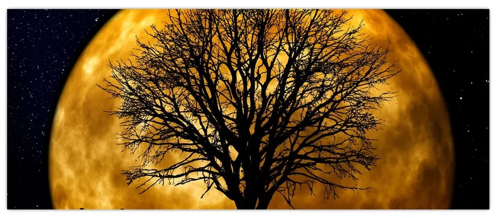 Obraz mesiace a siluet (120x50 cm)