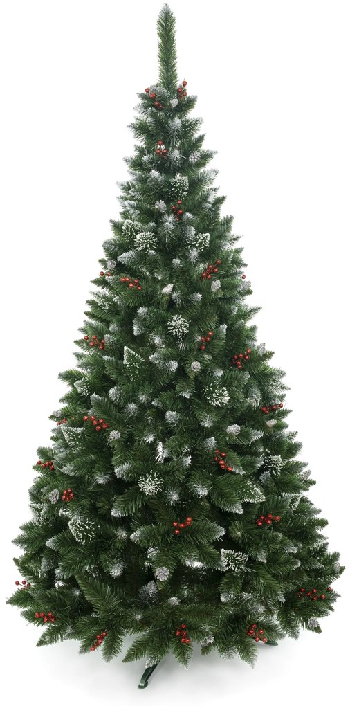 Vianočný stromček Borovica diamantová s jarabinou 250 cm