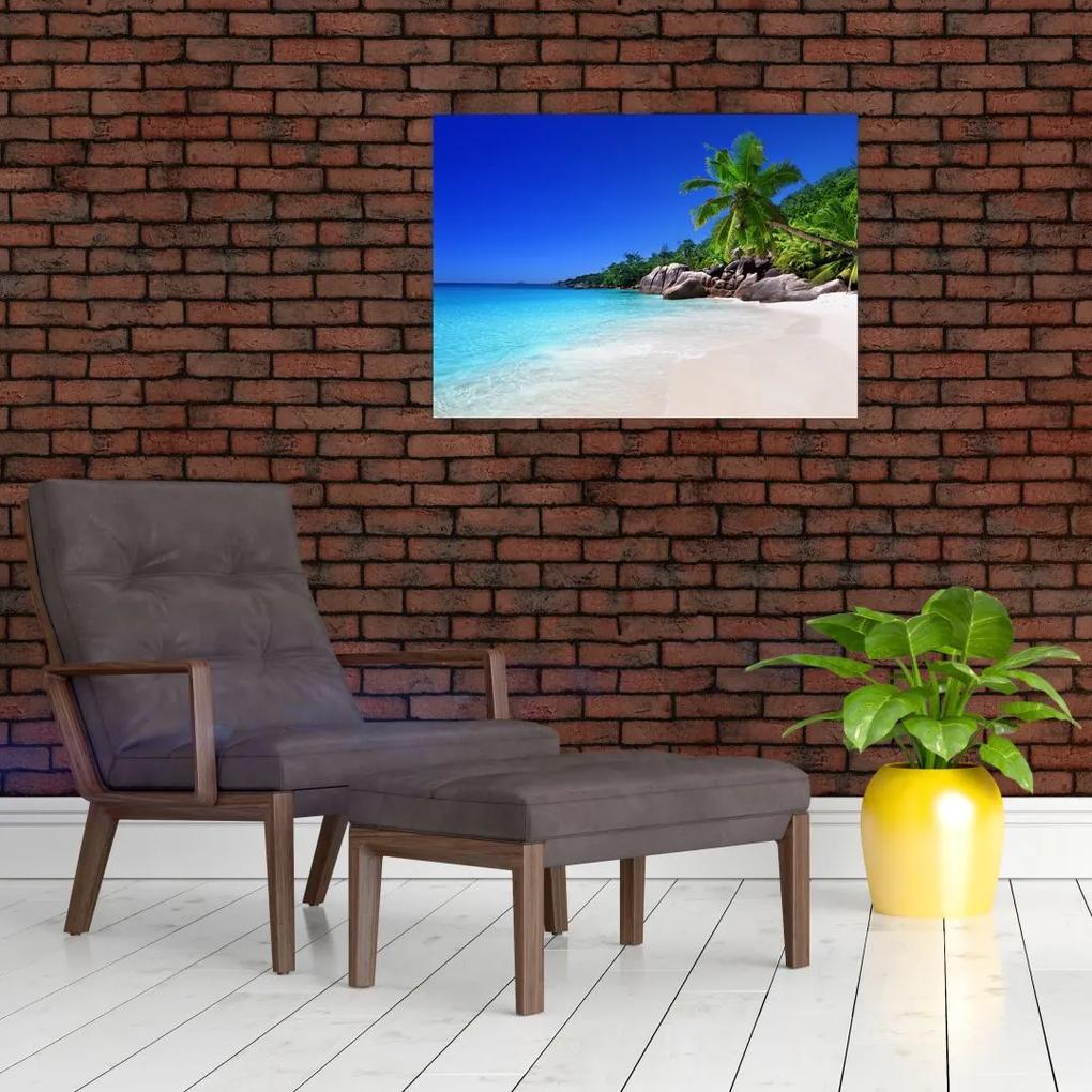 Sklenený obraz pláže na Praslin ostrove (70x50 cm)