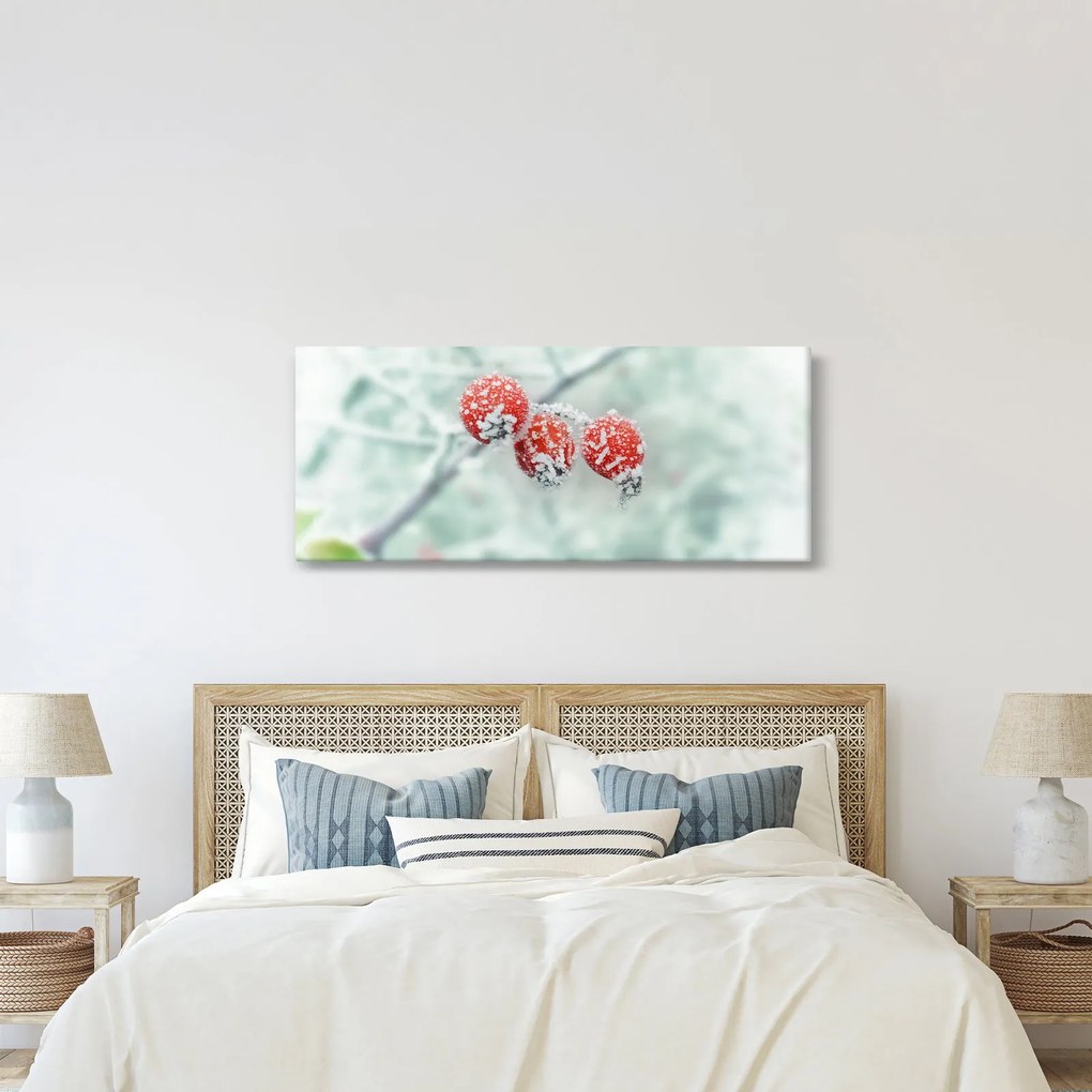 Obraz zmrznutých šípok (120x50 cm)