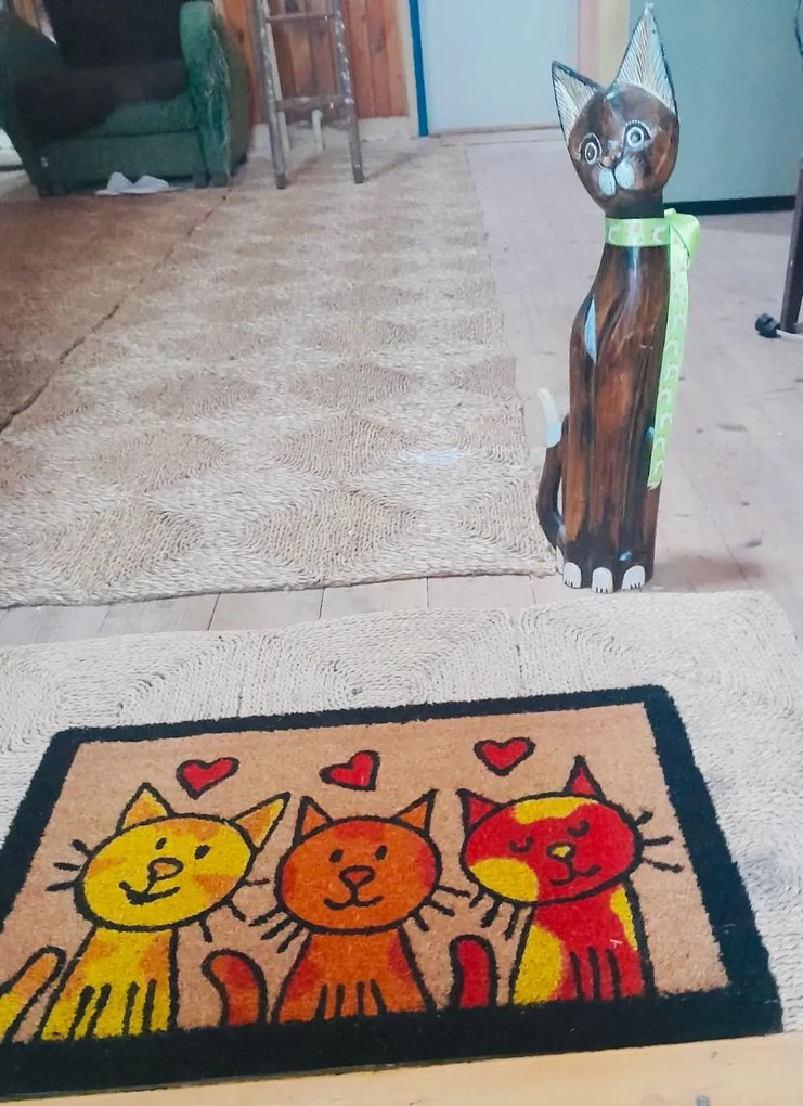 Rohožka Kokos Tri mačky – na von aj na doma, 40x60, viacfarebná, chodba / predsieň, Trade Concept