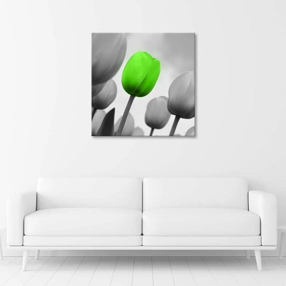 Obraz na plátně Tulipány zelená šedá - 60x60 cm