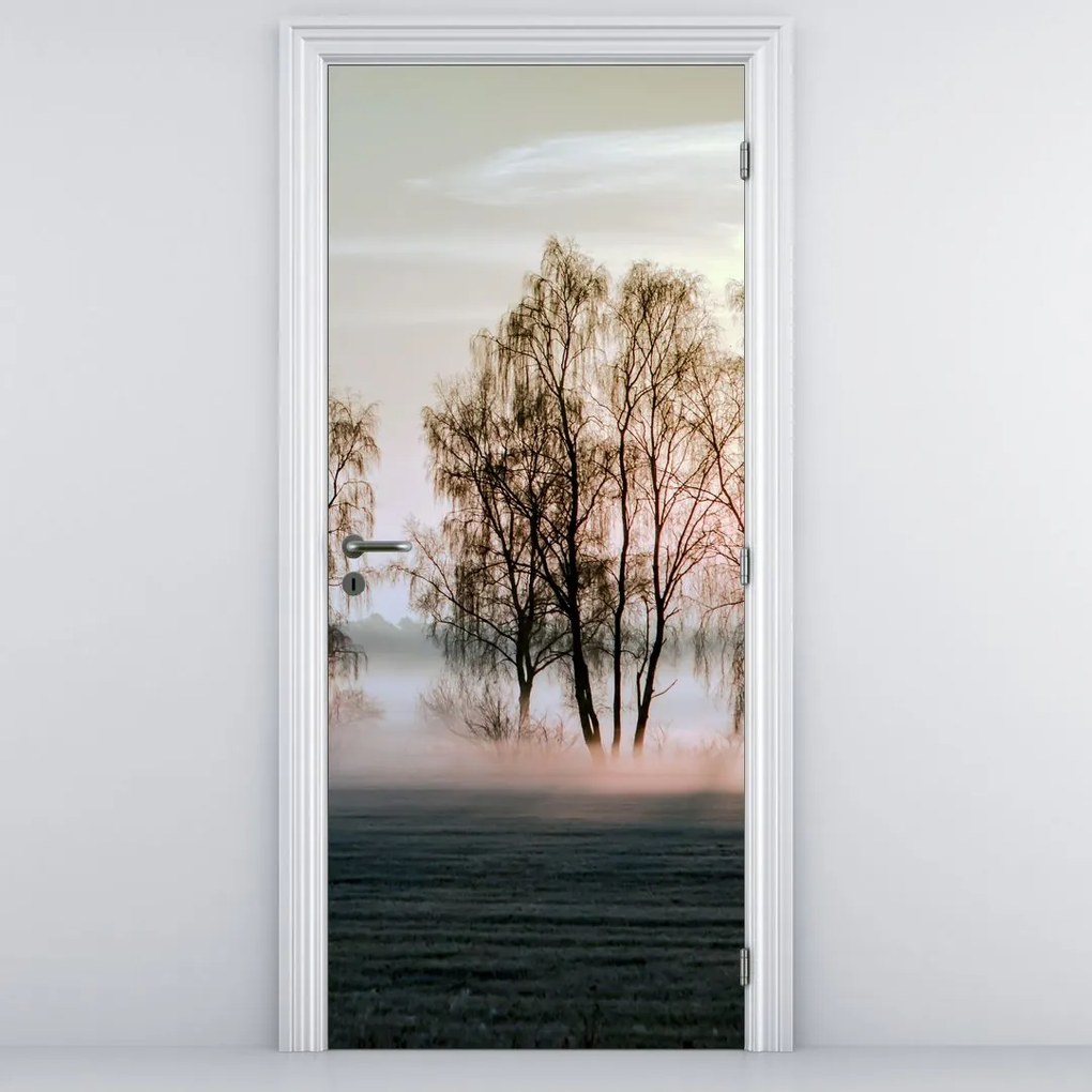 Fototapeta na dvere - Ranná sychravosť (95x205cm)