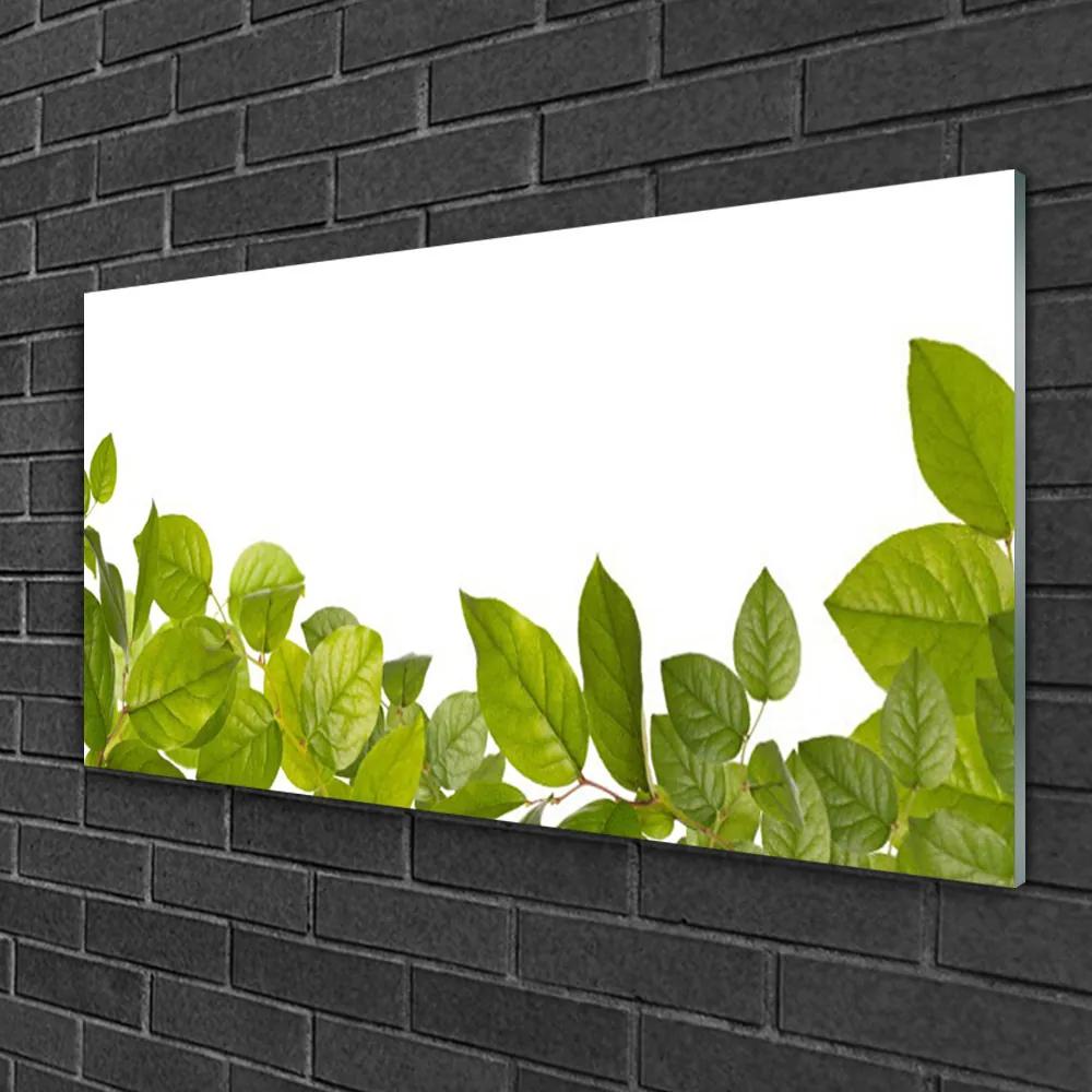 Skleneny obraz Listy príroda rastlina 140x70 cm