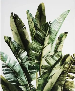 Obraz na plátne Zelené listy, 40x50 cm%