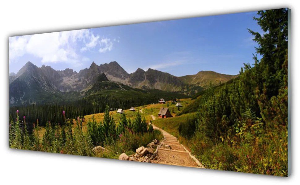 Obraz plexi Hala góry droga natura łąka 125x50 cm