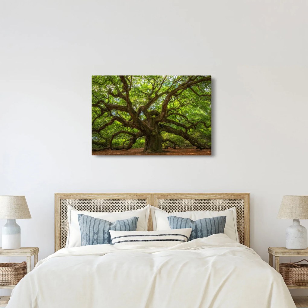 Obraz - Zelený strom (90x60 cm)