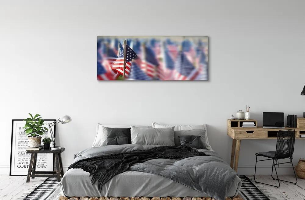 Obraz plexi Vlajky spojených štátov 120x60 cm