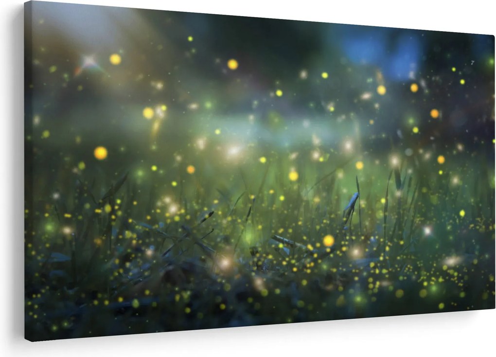 Obraz - Čarovná noc (90x60 cm)