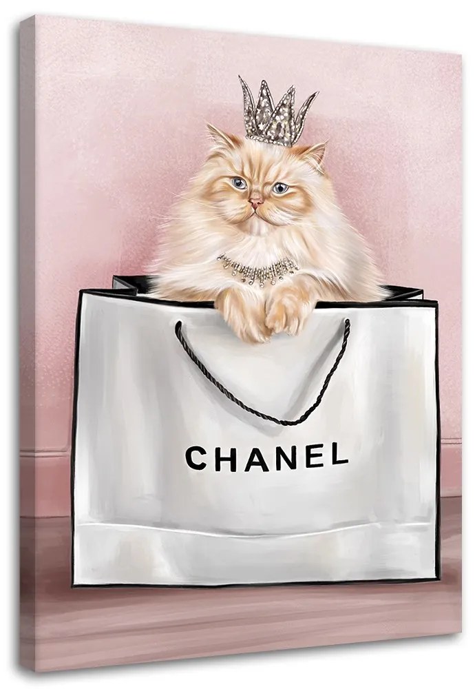 Gario Obraz na plátne Mačka v taške Chanel Rozmery: 60 x 90 cm