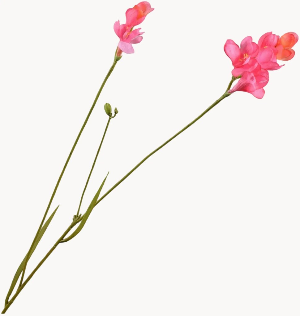 Rastlinná dekorácia Freesia