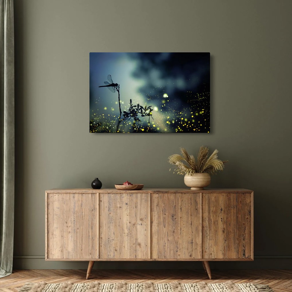 Obraz - Vážka za trblietavej noci (90x60 cm)