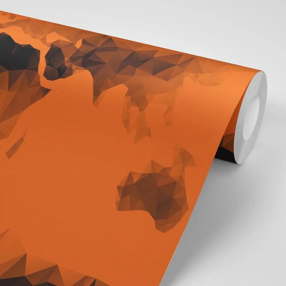 Tapeta oranžová mapa v polygonálnom štýle - 450x300