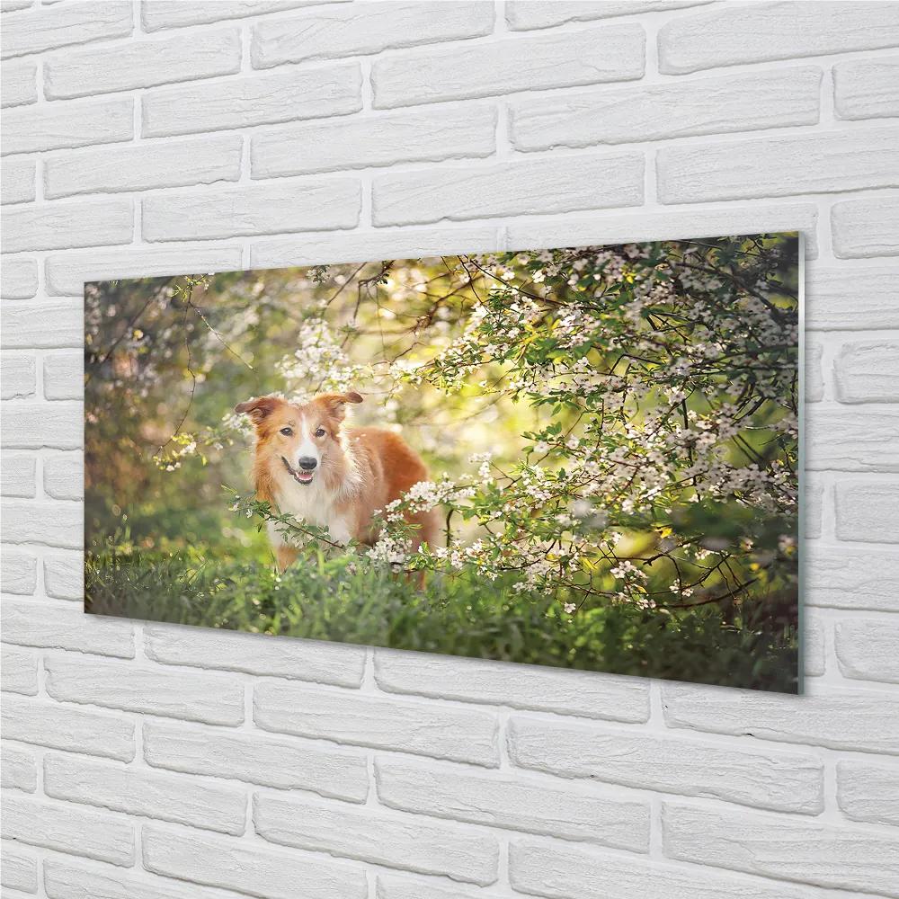 Nástenný panel  Psie lesné kvety 125x50 cm