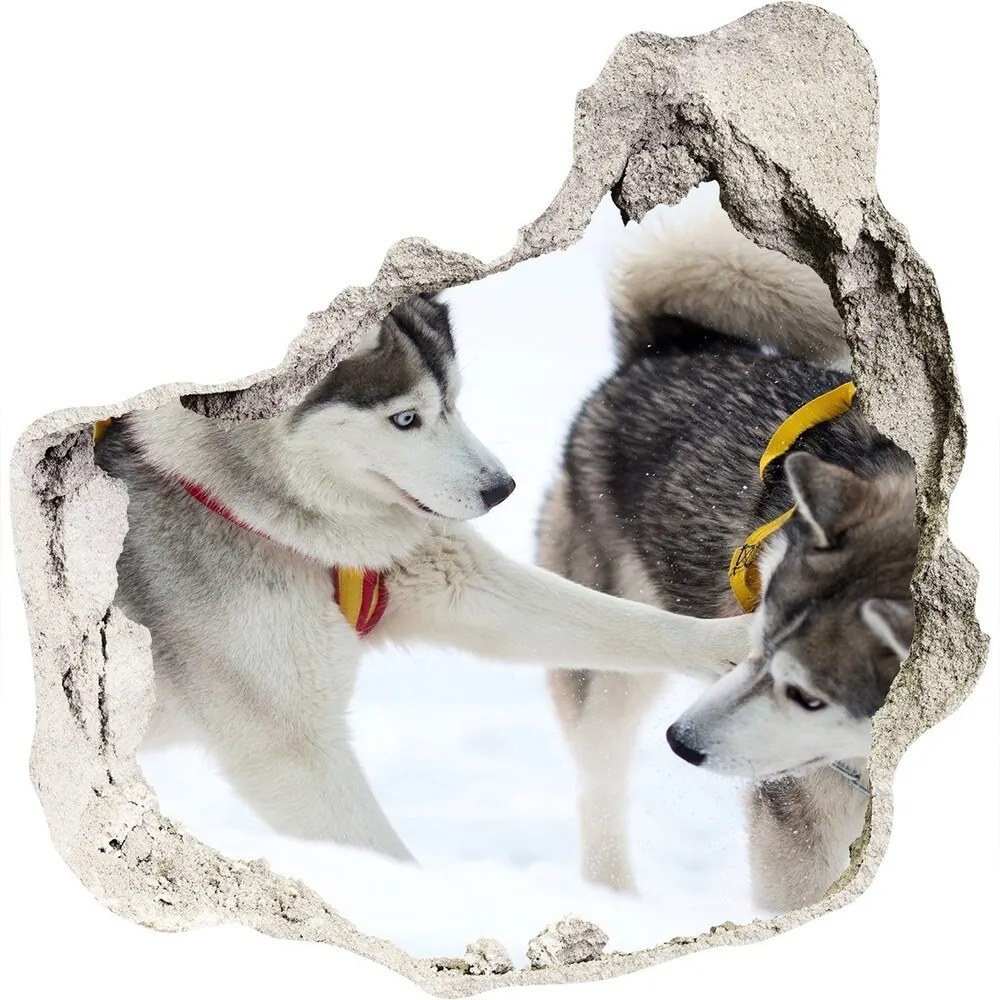 Samolepiaca nálepka betón Husky zima nd-p-56011790
