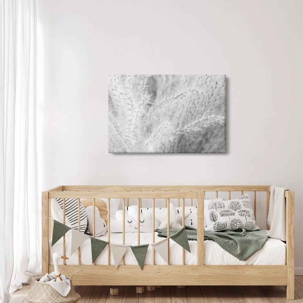 Obraz - Pampas grass N⁰1 (90x60 cm)