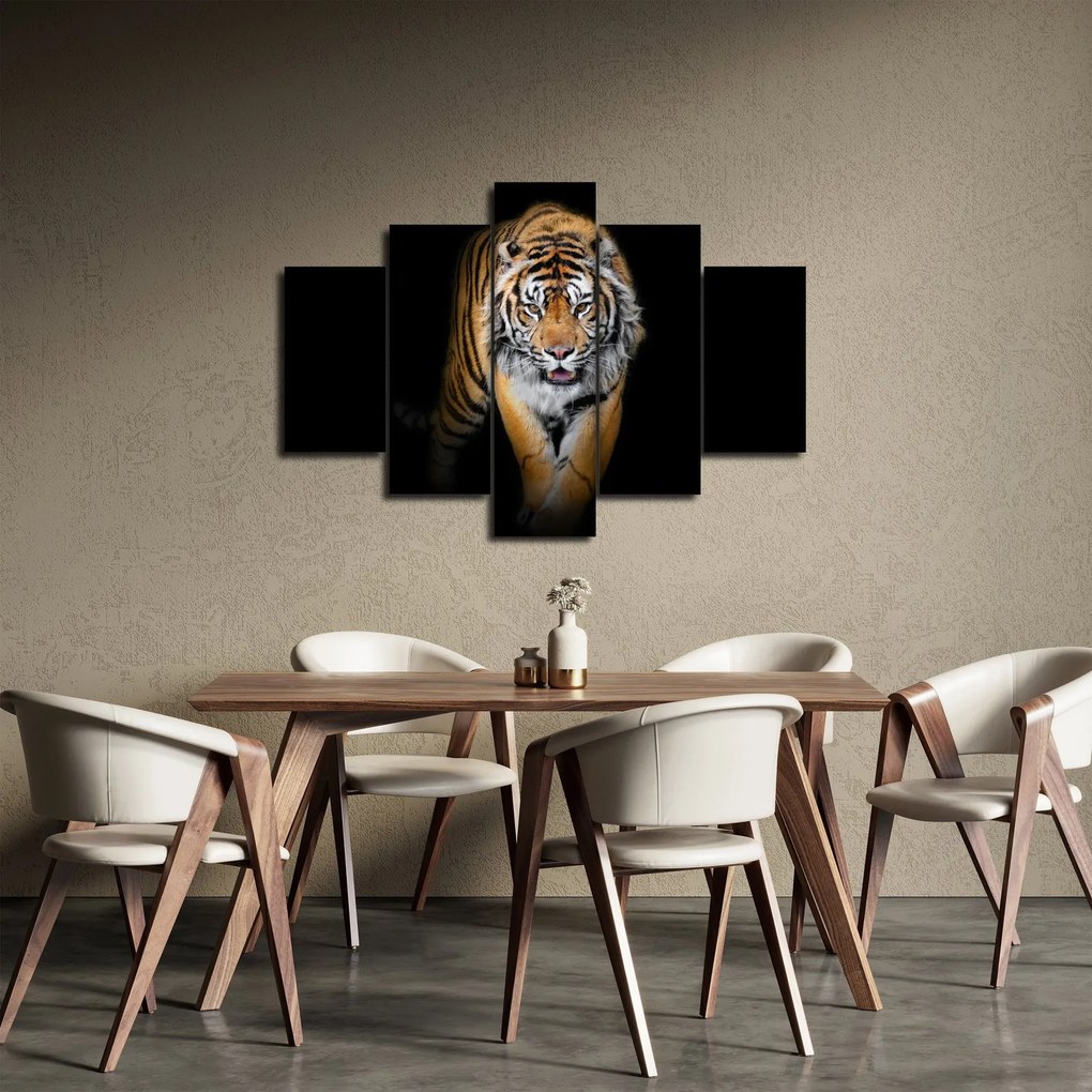Obraz - Tiger (150x105 cm)