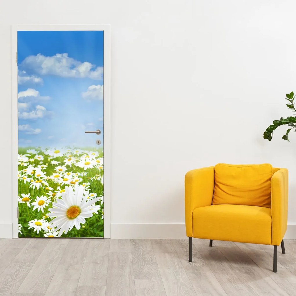 Fototapeta na dvere - Rozkvitnutá lúka s margarétami (95x205cm)