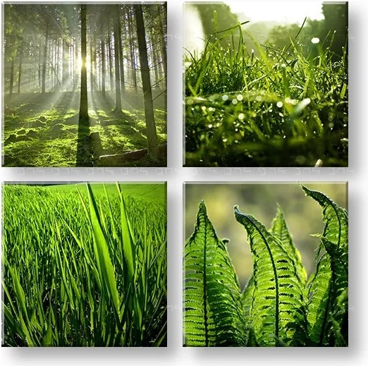 Obraz na stenu Sunrise of nature 4 dielny XOBKOL14E42