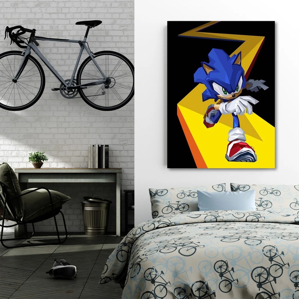 Gario Obraz na plátne Sonic - Nikita Abakumov Rozmery: 80 x 120 cm