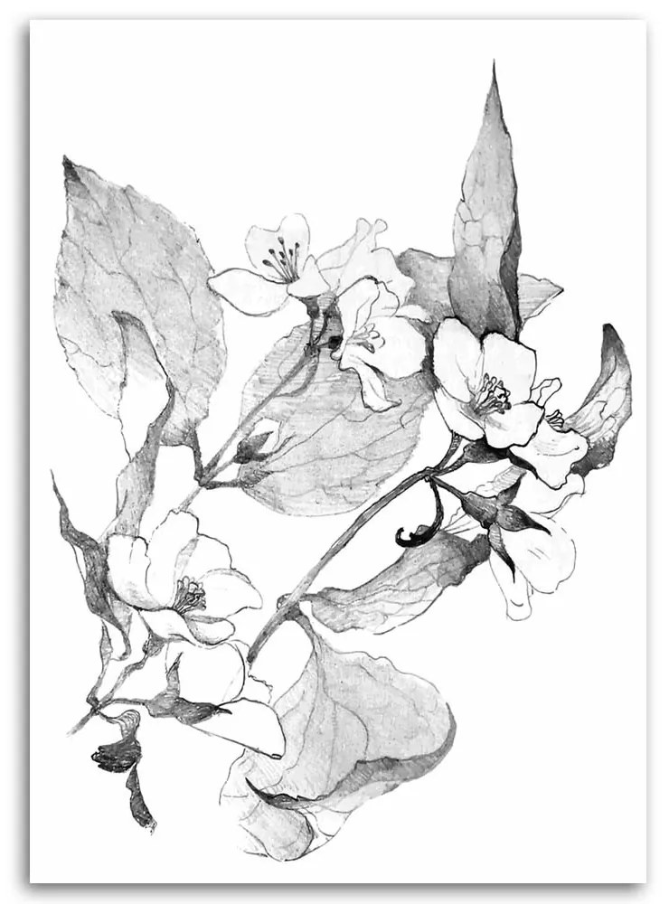 Gario Obraz na plátne Kvitnúce vetvičky Rozmery: 40 x 60 cm