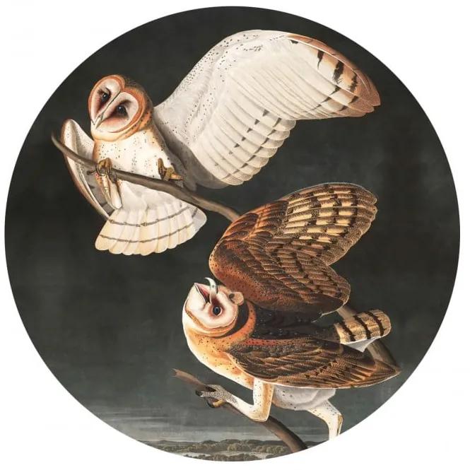 WALLCOLORS Dots Owls - tapeta POVRCH: Prowall Canvas