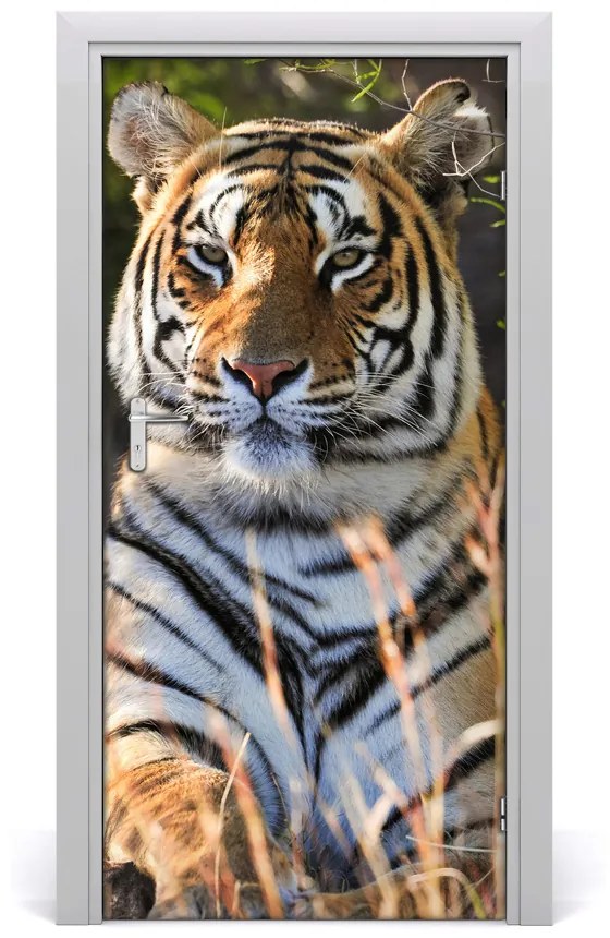 Samolepiace fototapety na dvere tiger 85x205 cm