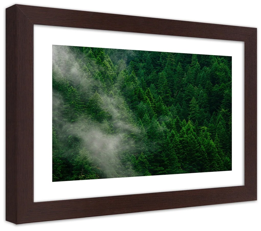 Gario Plagát Hmla nad lesom Farba rámu: Čierna, Rozmery: 60 x 40 cm