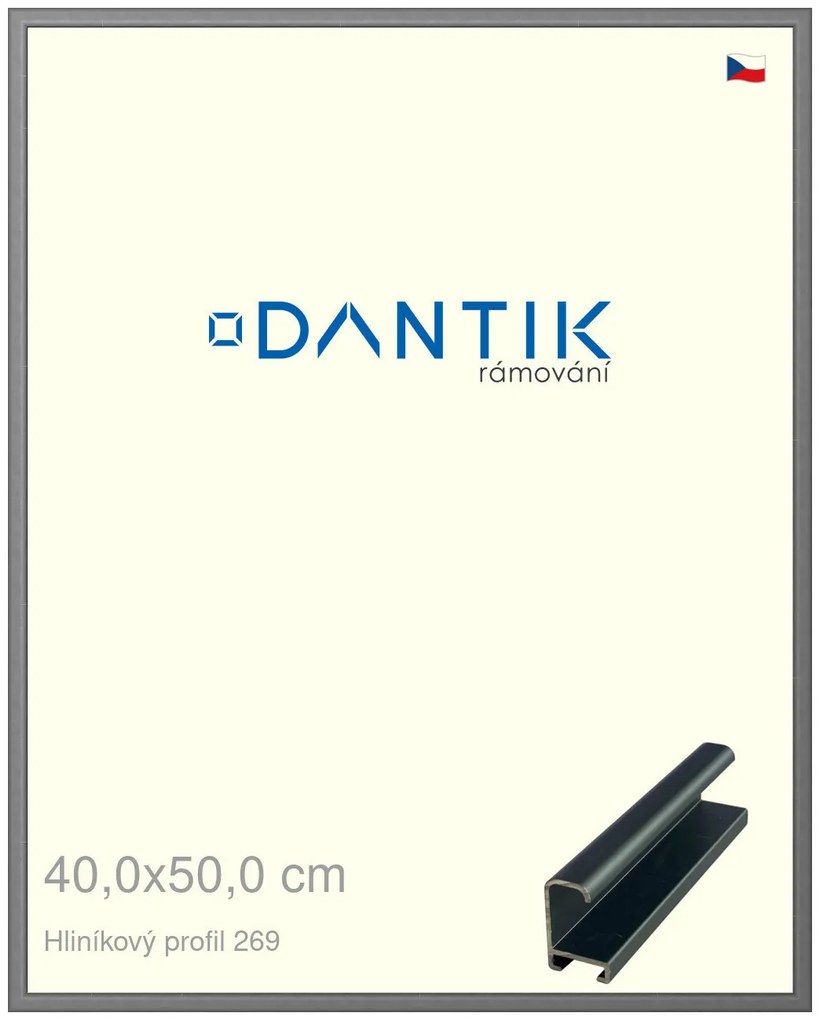 DANTIK rám na obraz 40x50 | ALU Platina matná (Sklo Čiré)