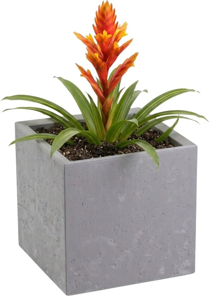 Sada 2 ks květináčů BETONIQUE 30x30/30x60 cm - výber z 4 prevedení