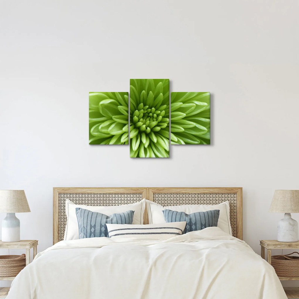 Obraz - Makro snímka rastliny (90x60 cm)