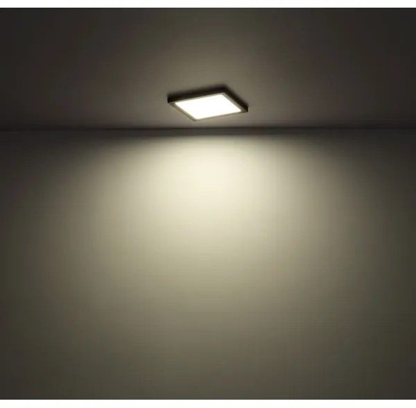 Globo 12380-24B - LED Stropné svietidlo LASSE LED/24W/230V 3000/4000/6500K čierna