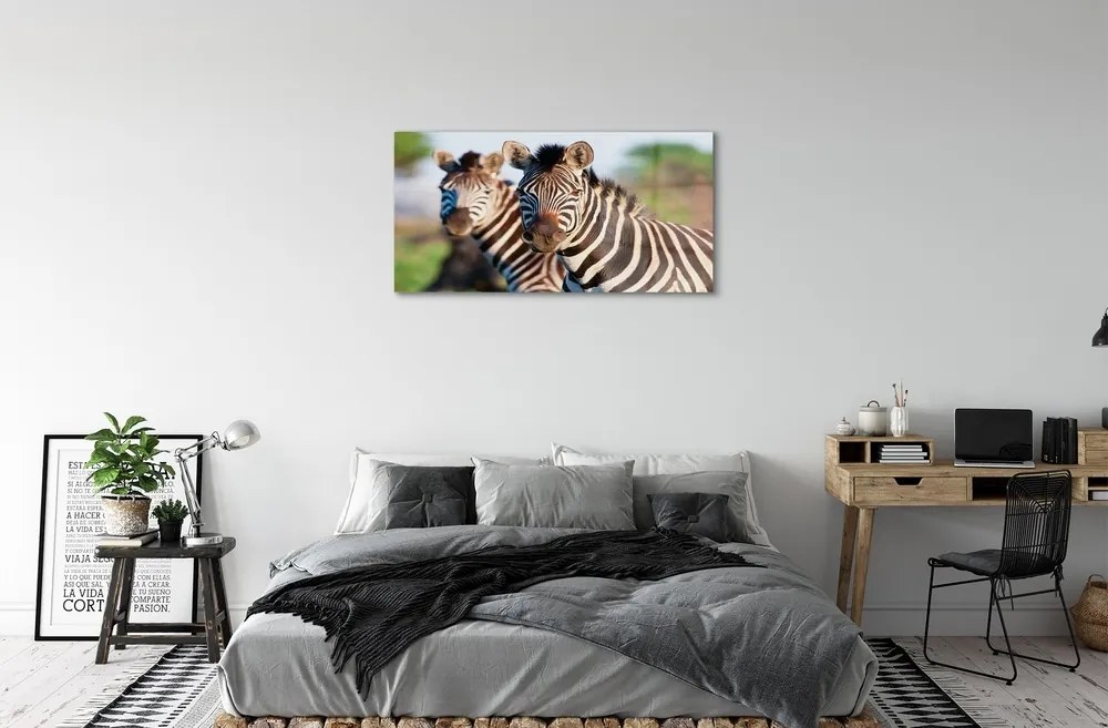 Sklenený obraz zebra 140x70 cm