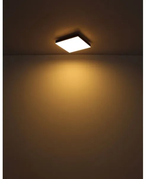 Globo 41594D1 - LED Stropné svietidlo DORO LED/18W/230V 30x30 cm čierna