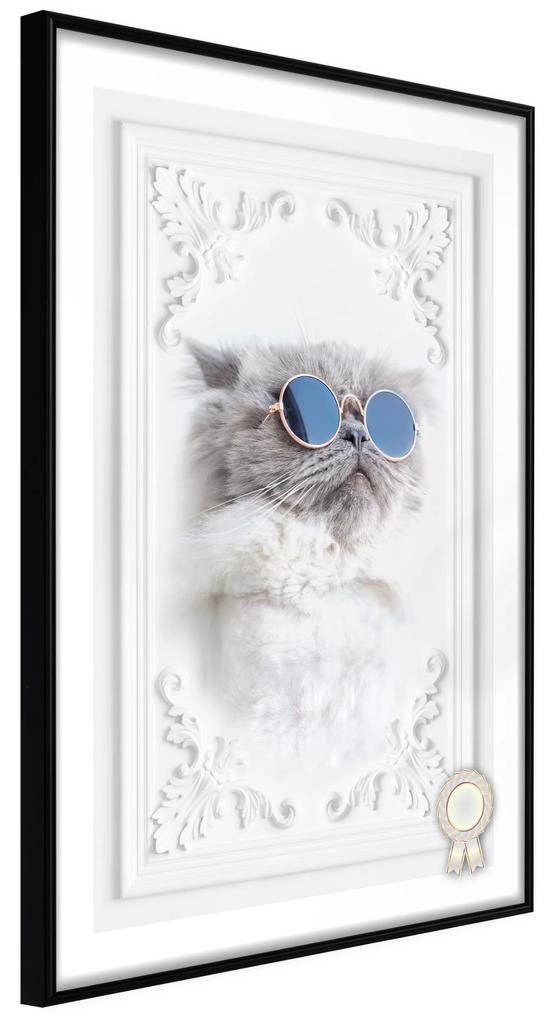 Artgeist Plagát - Cat with Glasses [Poster] Veľkosť: 40x60, Verzia: Zlatý rám s passe-partout