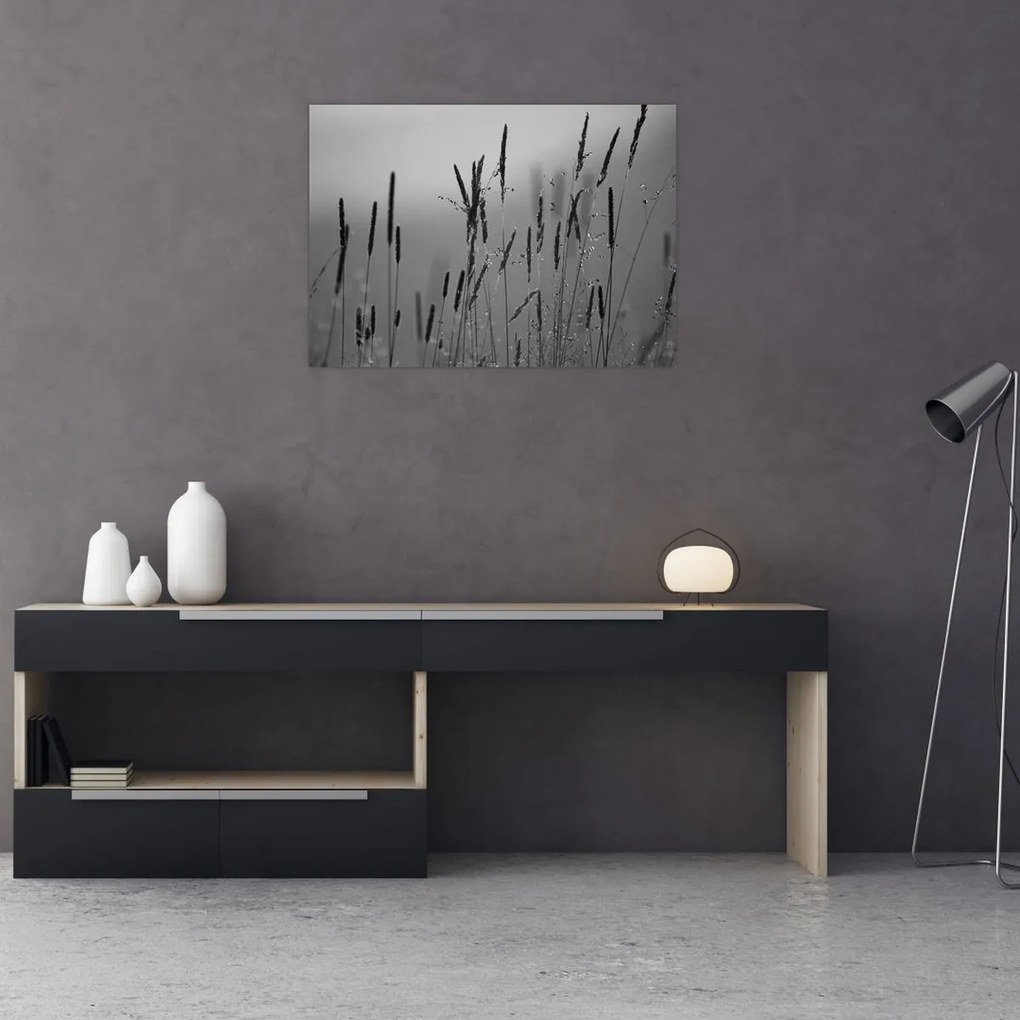 Sklenený obraz - Steblá trávy (70x50 cm)