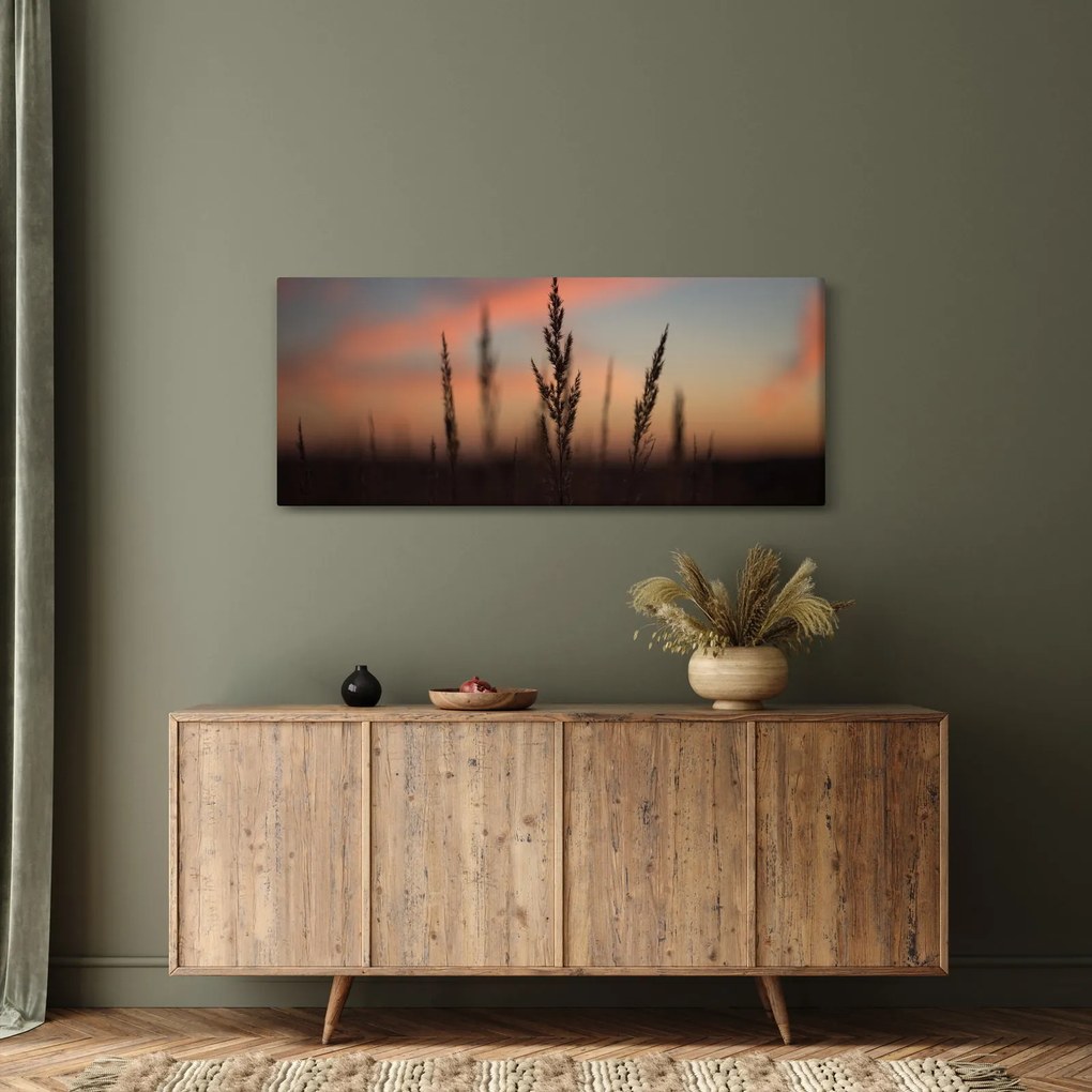 Obraz - Silueta rastliny (120x50 cm)