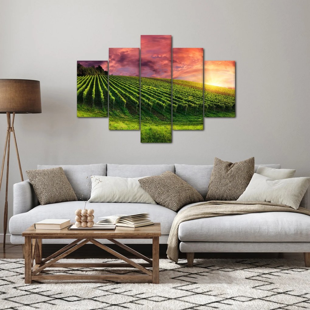 Obraz vinice s farebným nebom (150x105 cm)