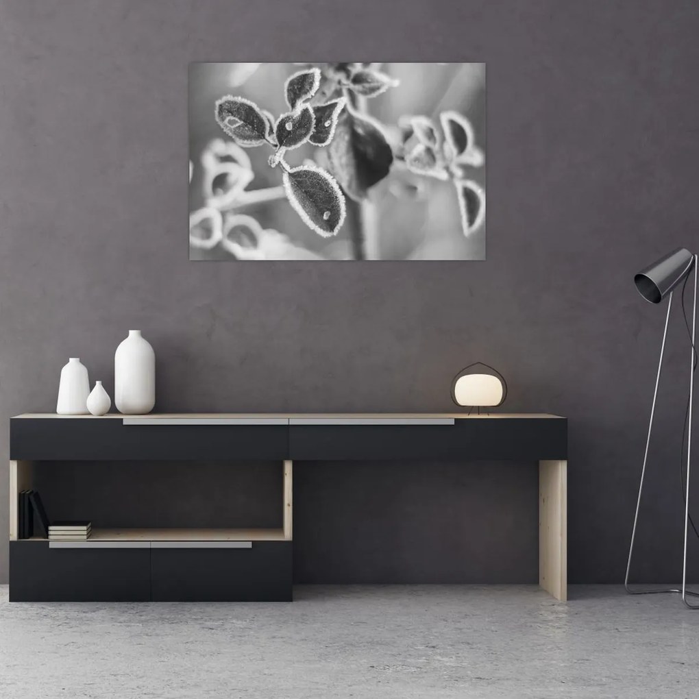 Obraz - Príroda na jeseň (90x60 cm)