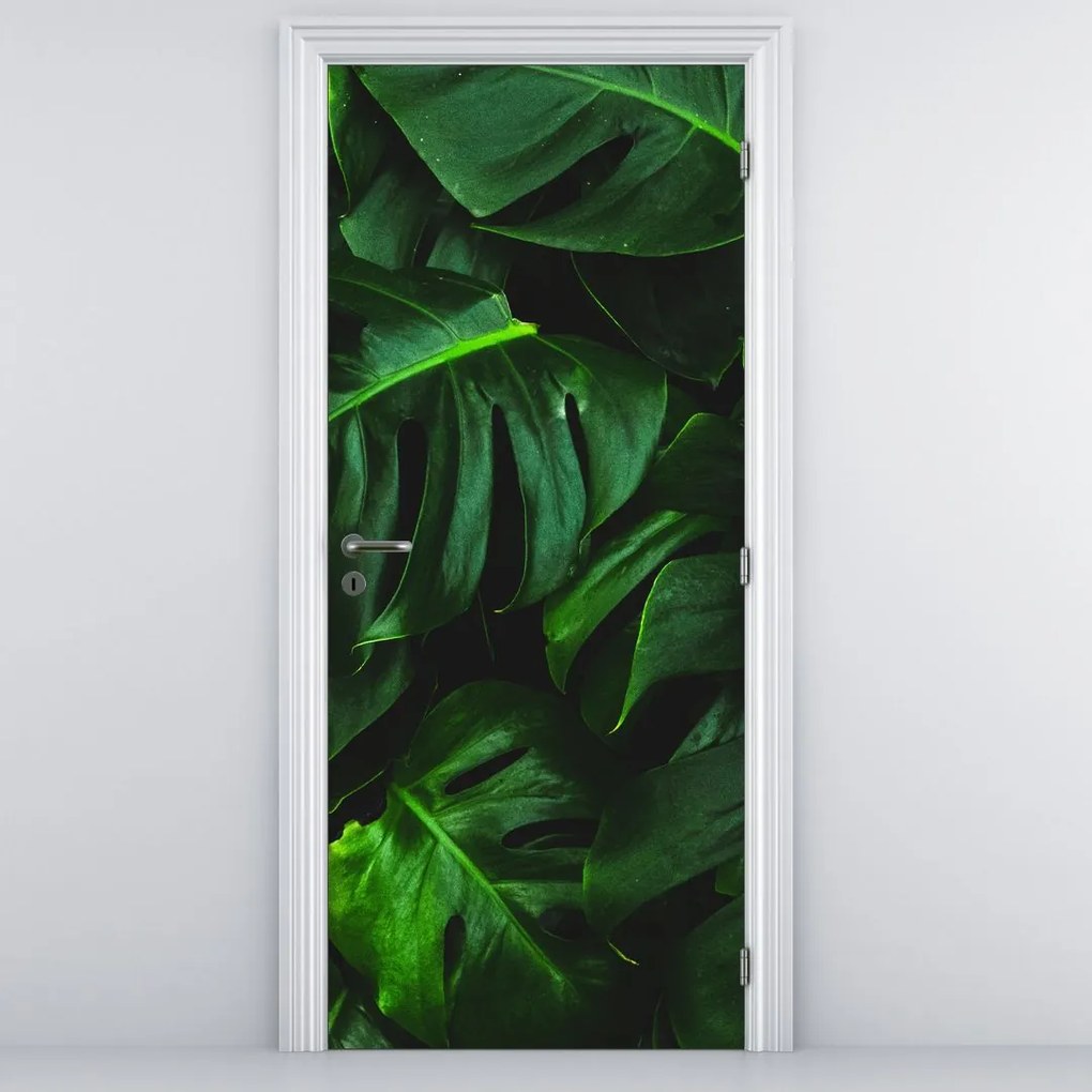 Fototapeta na dvere - Listy Monstery (95x205cm)