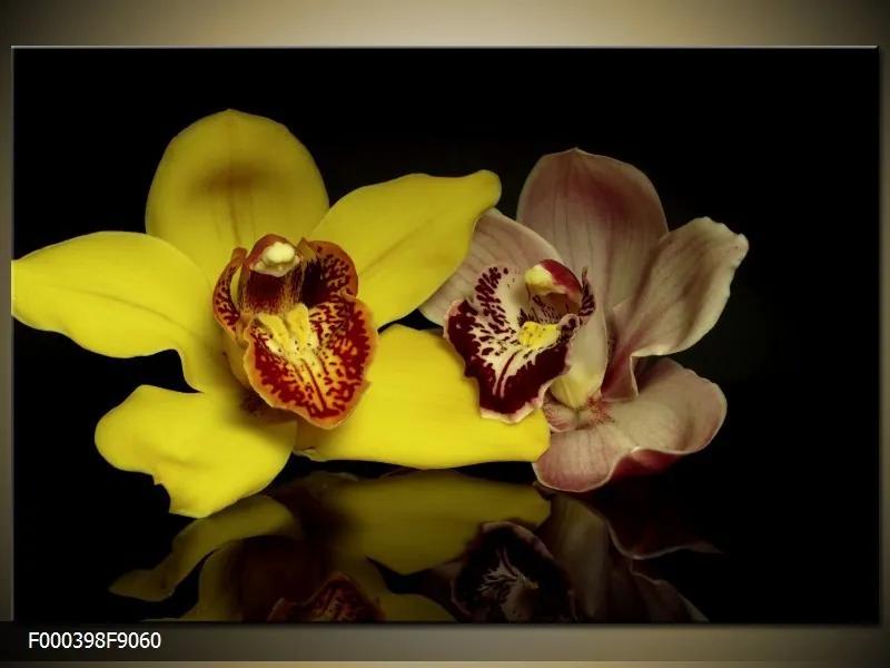 Obraz na plátne Žltá orchidea, Obdĺžnik 90x60cm 60,8 €