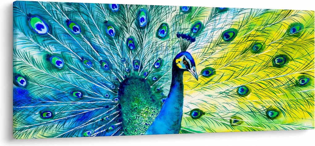 Obraz páva (120x50 cm)