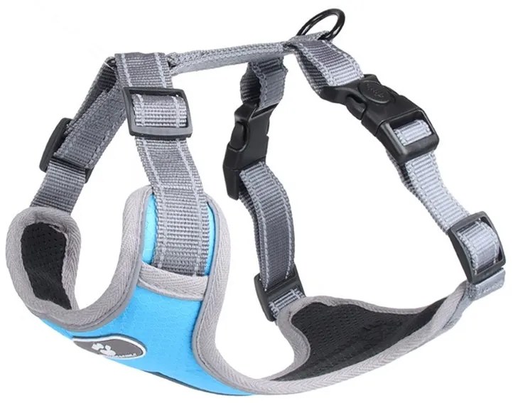 Postroj pre psov Astro M modrý