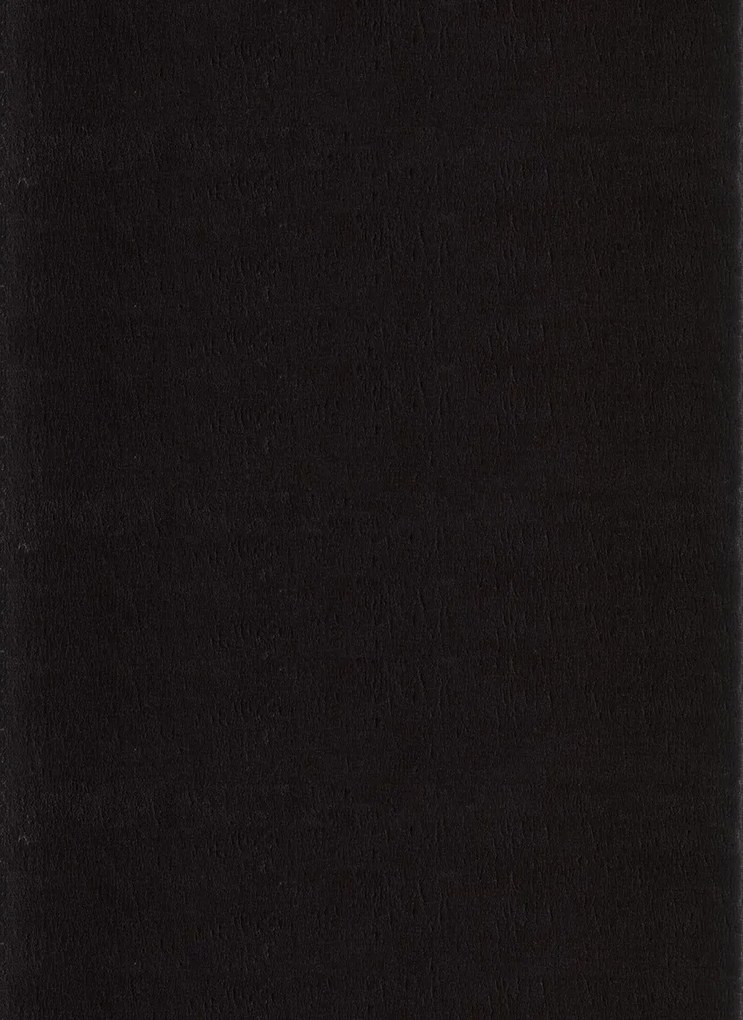Ayyildiz Kusový koberec CATWALK 2600, Čierna Rozmer koberca: 80 x 150 cm