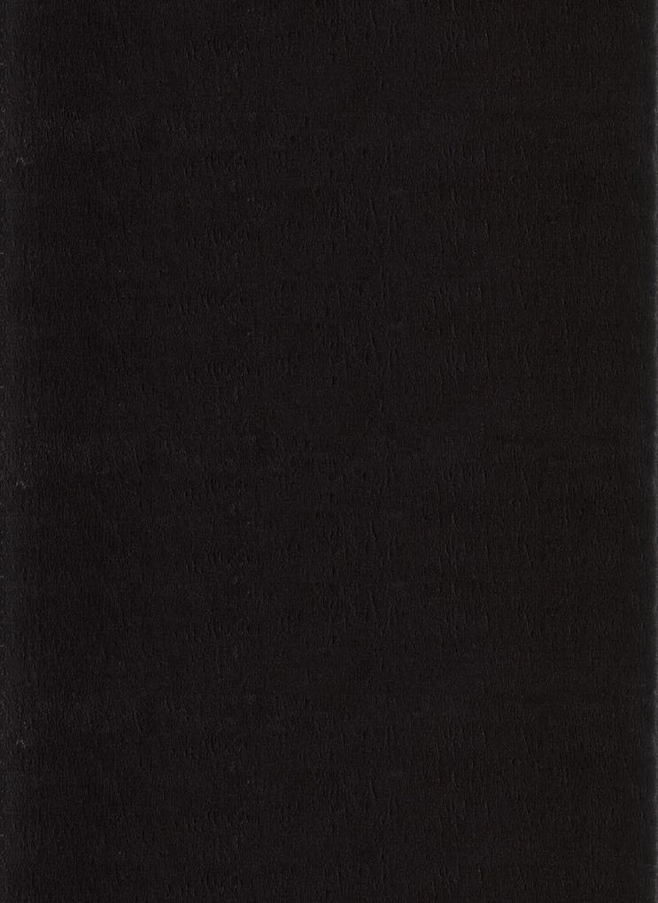 Ayyildiz Kusový koberec CATWALK 2600, Čierna Rozmer koberca: 80 x 250 cm