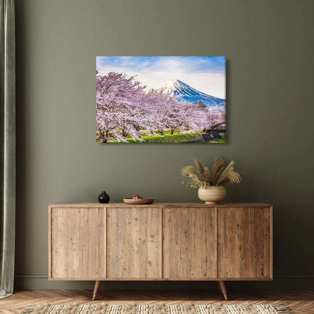 Obraz - Japonsko na jar (90x60 cm)