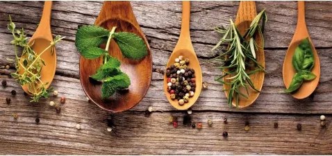 Obraz na stenu Korenie, 70x33 cm%