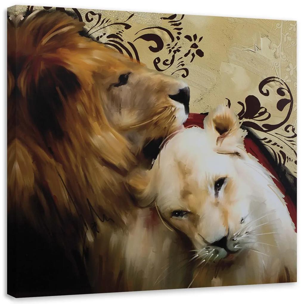 Obraz na plátně Lvi Zvířata Brown - 40x40 cm